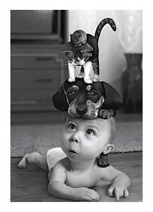 Листівка Black&White - Піраміда