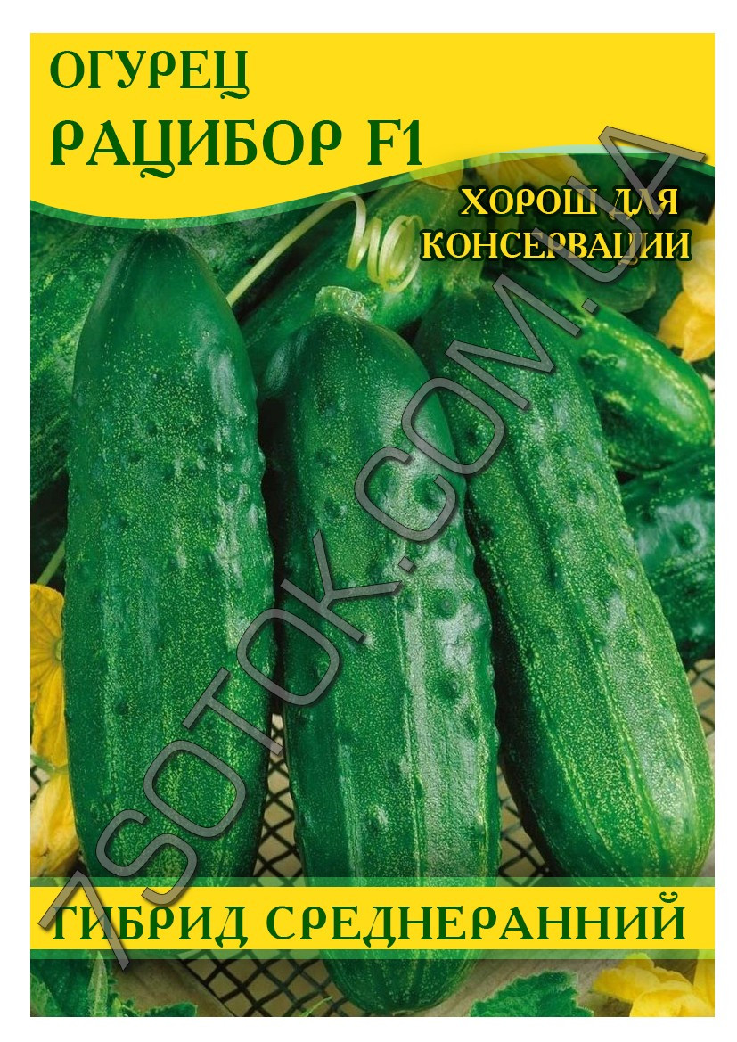 Насіння огірка Рацибор F1, 100 г