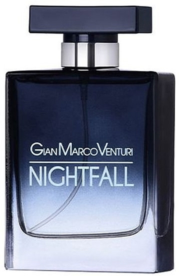 Парфумована вода Gian Marco Venturi Nightfall для чоловіків — edp 100 ml tester