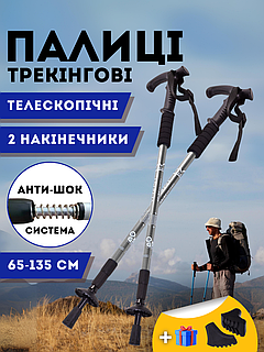 Телескопічні палиці для скандинавської ходьби палиці для трекінгу скандинавські 2 шт ENERGIA Сірий (3924-2)