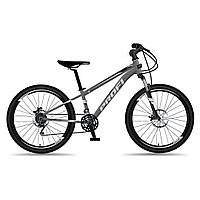 Велосипед спортивный 29 дюйма алюминиевая рама на 21 скорость Profi MTB2903-5 Серо-черный