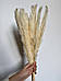 Натуральний інтер'єрний букет із пампасної трави, вічний букет "Збери сам" з сухоцвітів у стилі бохо 45 см, фото 9
