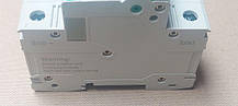 Автоматичний вимикач Suntree SCB8-125DC 2P, фото 6