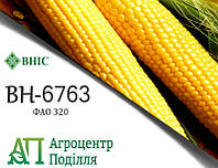Насіння кукурудзи ВН 6763 (ФАО 320)