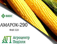 Насіння кукурудзи АМАРОК 290 (ФАО 320)