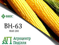 Насіння кукурудзи ВН 63 (ФАО 280) ВНІС