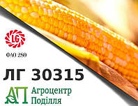 Семена кукурузы ЛГ 30315 (ФАО 280) ЛИМАГРЕЙН