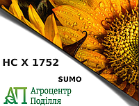 Насіння соняшника під гранстар НС Х 1752 102-105 дн. ЮГ Агролідер