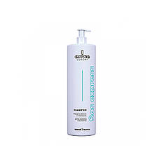 Амінокислотний шампунь Envie Luxury Sos Express Shampoo для миттєвого відновлення волосся (EN461)