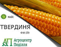 Семена кукурузы гибрид ТВЕРДИНЯ (ФАО 270)
