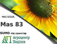 Семена гранстароустойчивого подсолнечника Mas 83.SU (104 -106 дн.) MAS SEEDS