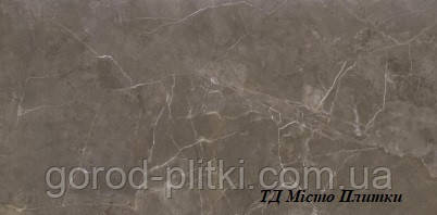 Плитка Opoczno Teneza Brown Glossy 30х60, фото 1