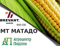 Семена кукурузы МТ МАТАДО (ФАО 350 ) от Brevant seeds / Corteva