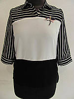 Модна блуза жіноча літня рівного крою з коміром і брошкою з тонкого софту
