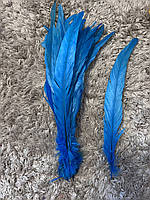 Перья петуха для декора (голубой)