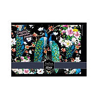 Альбом для малювання АМ-ГП-120-24 на спіралі Павичі am Новинка