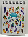 Блокнот на спіралі "Color KRAFT" 80 аркушів, клітинка / Записная книга / KF5280K / Пір'я, фото 2