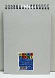 Блокнот на спіралі "Color KRAFT" 80 аркушів, клітинка / Записная книга / KF5280K / Пір'я, фото 3