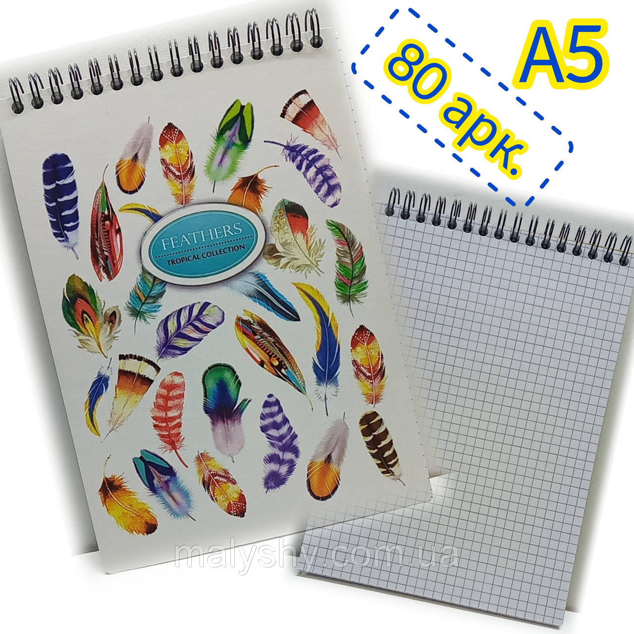 Блокнот на спіралі "Color KRAFT" 80 аркушів, клітинка / Записная книга / KF5280K / Пір'я