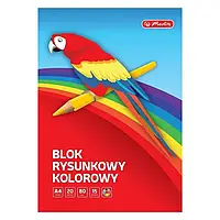 Herlitz Блокнот для малювання А4 20 аркушів 80 г кольоровий 10 шт. (7519798)