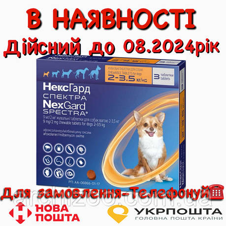 Таблетки NexGard Spectra від бліх та кліщів для собак, 2-3.5 кг (1 упаковка), фото 2