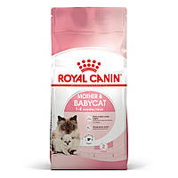 Сухой корм для котят и кошек в период беременности Royal Canin Mother & Babycat 2 кг
