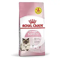 Сухой корм для котят и кошек в период беременности Royal Canin Mother & Babycat 10 кг