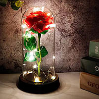 Роза в колбе 20см с LED подсветкой, Красная / Ночник роза в стеклянной колбе / Романтический подарок ночник