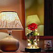 Троянда в колбі 20см з LED підсвічуванням, Червона / Нічник троянда в скляній колбі / Романтичний подарунок нічник, фото 2