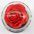 Троянда в колбі 20см з LED підсвічуванням, Червона / Нічник троянда в скляній колбі / Романтичний подарунок нічник, фото 5