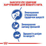 Сухий корм для домашніх довгошерстих котів Royal Canin Indoor Long Hair 2 кг, фото 7