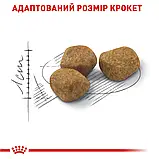 Корм для домашніх котів (від 7 років) Royal Canin Indoor7+ 1,5 кг, фото 5