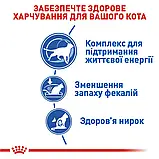 Корм для домашніх котів (від 7 років) Royal Canin Indoor7+ 1,5 кг, фото 7