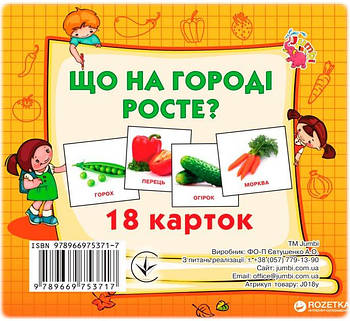 Міні картки Jumbі Що росте на городі (J018y) 638947 G-Rich