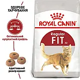 Сухий корм для гуляючих на вулиці котів Royal Canin Fit  10 кг, фото 2