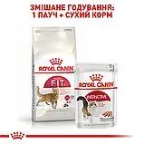 Сухий корм для гуляючих на вулиці котів Royal Canin Fit  10 кг, фото 6