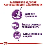 Сухий корм для кішок з чутливою системою травлення Royal Canin Sensible 4 кг, фото 4