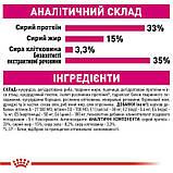Сухий корм для котів вибагливих до аромату корму  Royal Canin Exigent Aroma 2 кг, фото 8