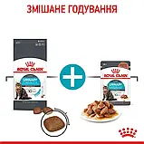 Сухий корм для котів, що сприяє підтримці сечовидільної системи Royal Canin Urinary Care 400 г, фото 6