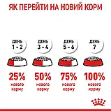 Сухий корм для запобігання зубному нальоту Royal Canin Dental Care 8 кг, фото 6
