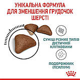 Сухий корм для котів рекомендований для виведення грудок шерсті Royal Canin Hairball Care 400 г, фото 9