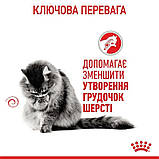 Сухий корм для котів рекомендований для виведення грудок шерсті Royal Canin Hairball Care 400 г, фото 8