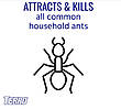Засіб від мурах Terro Liquid Ant Killer США, фото 2