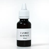 Аромат для свічки та мила Дубовий мох і бурштин (CandleScience Oakmoss and Amber)