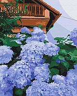 Картина по номерам Гортензия у дома 40x50 см Brushme Разноцветный (2000002762751)