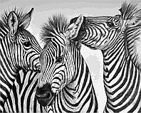 Картина по номерам "Три зебри" 40х50 см ArtStory Разноцветный (2000001688724)