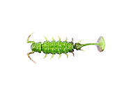 Приманка силикон Alien Bug Lucky John Pro Series 2.5in 63мм 7шт цвет T48 140165-T48 ON, код: 6724524