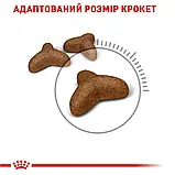 Сухий корм для зниження ваги котів Royal Canin Light Weight Care 1,5 кг, фото 7