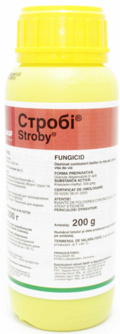 Фунгіцид Строби 200г, BASF