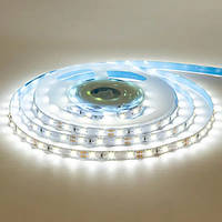 Світлодіодна LED стрічка Professional  8мм 9Вт/м 60 LED/м IP20 AVT-Prof-300W3528-9W-12 білий (5м)